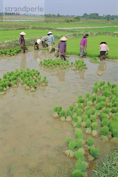 Vientiane  Hauptstadt  Asien  Laos