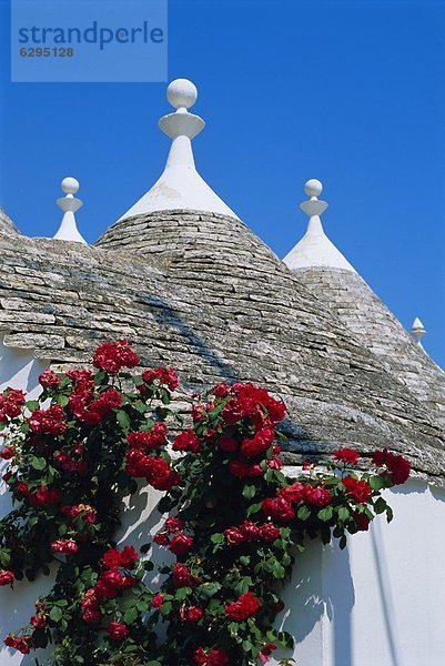 Alberobello Italien