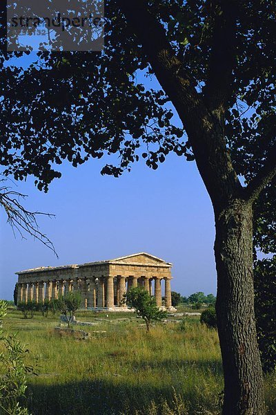 Kampanien  Italien  Paestum