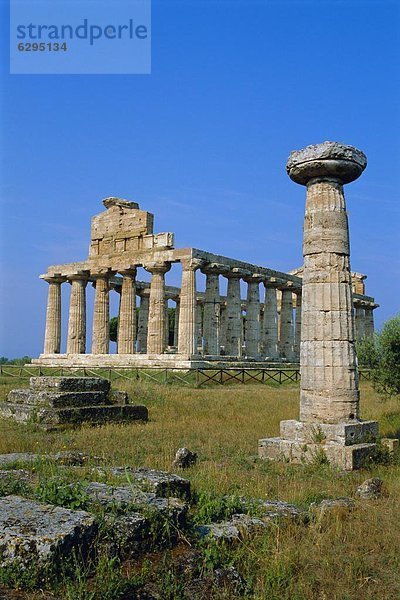 Kampanien  Italien  Paestum