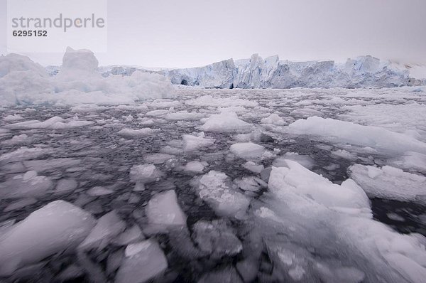 Paradise Bay  Antarktische Halbinsel  Antarktis  Polarregionen