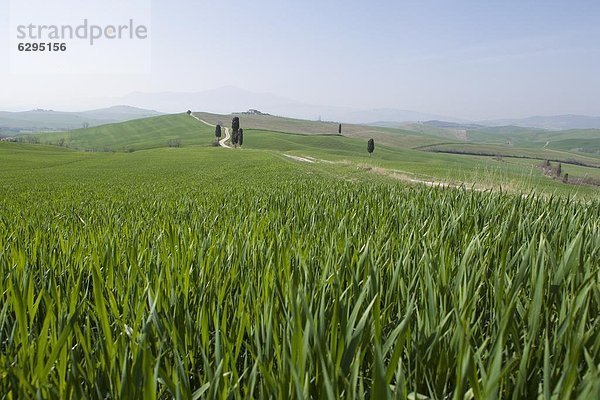 Europa Italien Toskana Val d'Orcia