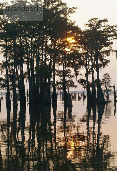 Vereinigte Staaten von Amerika  USA  Louisiana