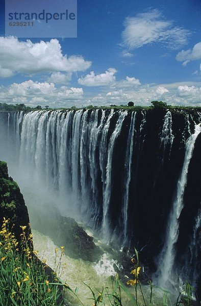 Victoria Falls  Simbabwe  Afrika