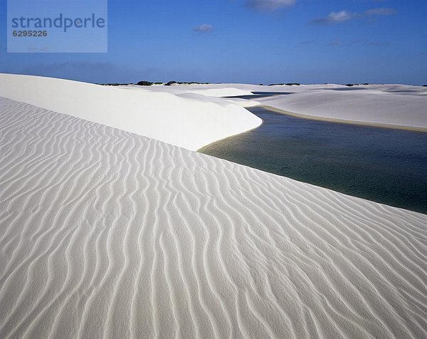 nahe  Schönheit  Sand  Düne  Brasilien  Lagune  Südamerika