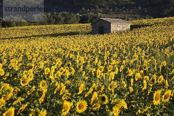 Frankreich  Europa  Provence - Alpes-Cote d Azur