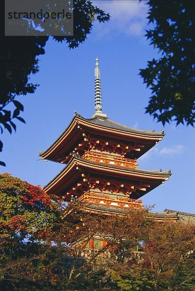 Japan  Kyoto