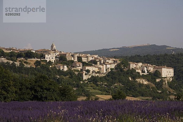 Sault de Provence  Vaucluse  Provence  Frankreich  Europa