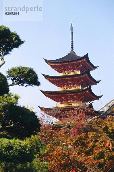 Japan  Miyajima