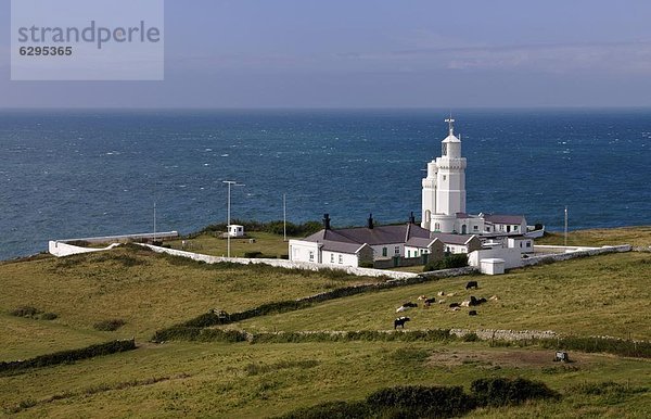 Europa Großbritannien England Isle of Wight