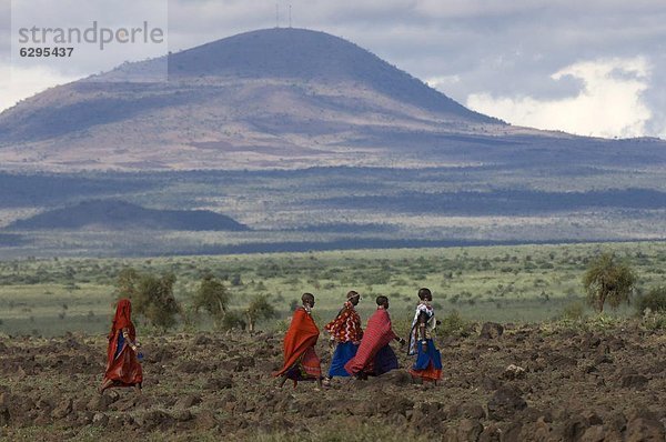 Masai  Amboseli Nationalpark  Kenia  Ostafrika  Afrika
