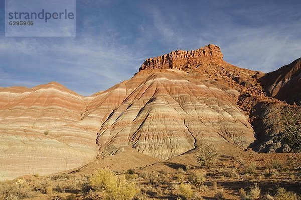 Vereinigte Staaten von Amerika  USA  Nordamerika  Arizona