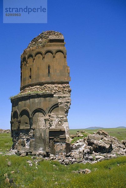 Truthuhn  Anatolien  Eurasien  Türkei