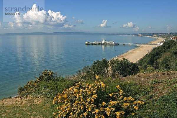 Europa  Großbritannien  Dorset  England