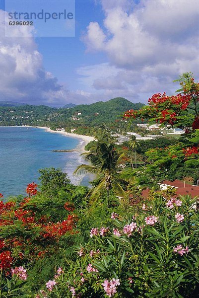 Karibik  Westindische Inseln  Grenada  Hauptstadt  Grand Anse Beach