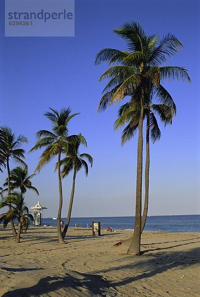 Vereinigte Staaten von Amerika  USA  Florida