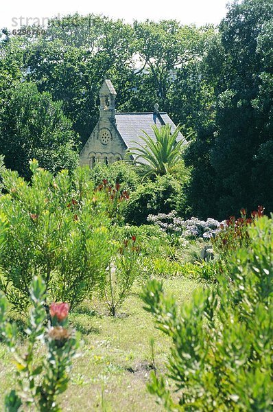 Südliches Afrika  Südafrika  Knysna