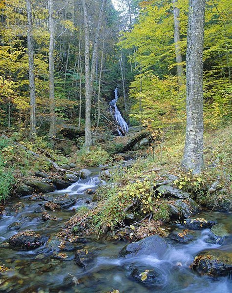 Vereinigte Staaten von Amerika USA Vermont