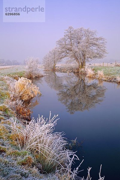 senden  England  Surrey