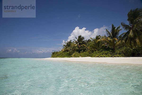 Malediven  Ari-Atoll  Asien  Indischer Ozean  Indik