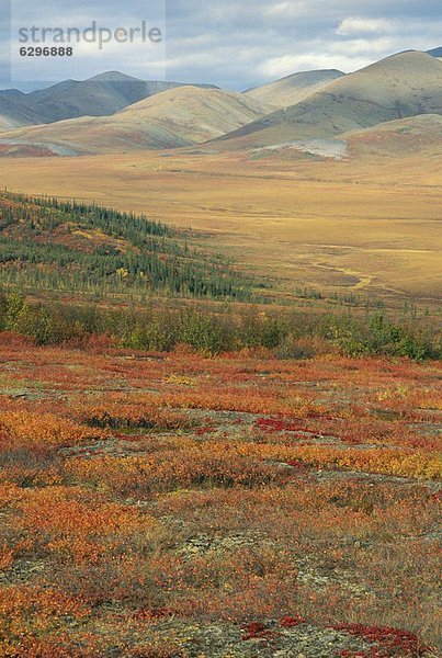 Berg  Landschaft  Herbst  Kanada  Yukon