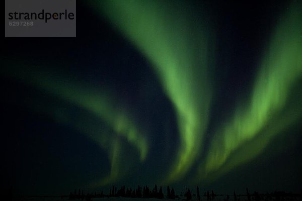 Polarlicht  Kanada  Manitoba