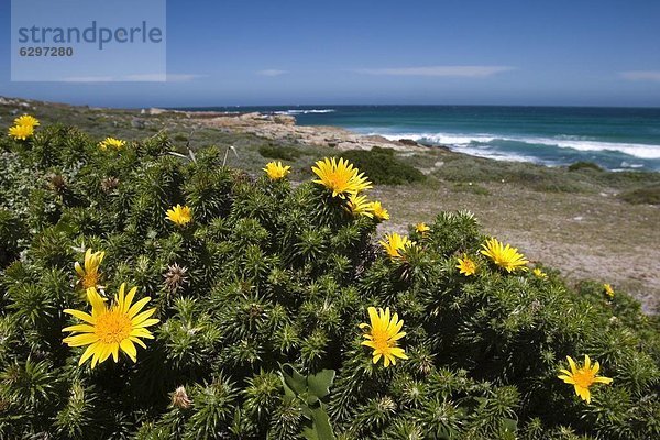 Südliches Afrika  Südafrika  Kapstadt