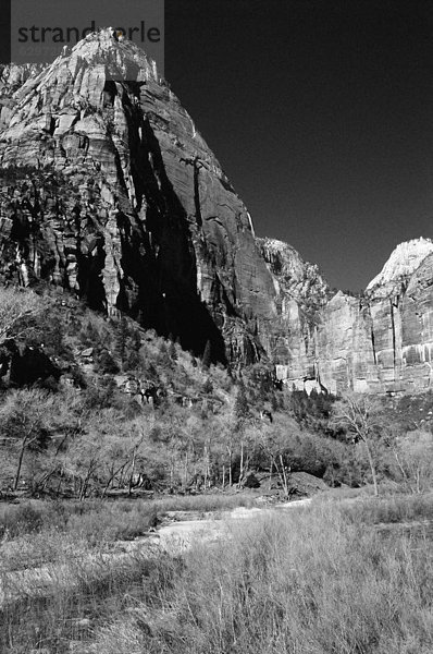 Zion Nationalpark  Utah  USA