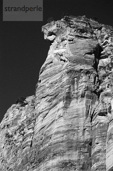 Zion Nationalpark  Utah  USA