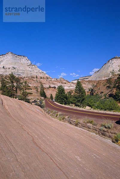 Zion Nationalpark  Utah  USA