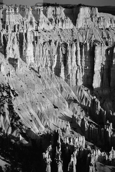 Vereinigte Staaten von Amerika  USA  Bryce Canyon Nationalpark