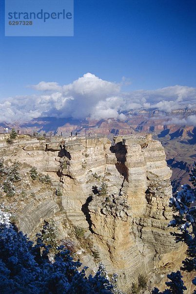 Grand Canyon  Arizona  USA