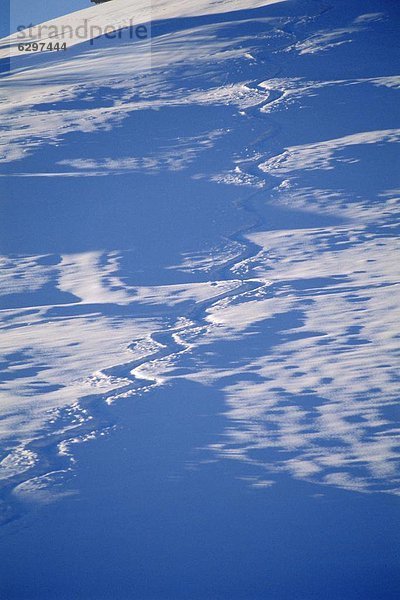Snow Track