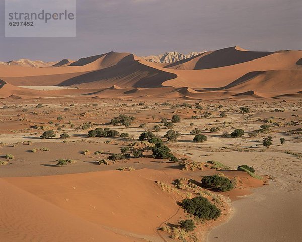 Namibia  Namib Naukluft Nationalpark  Afrika  Sossusvlei