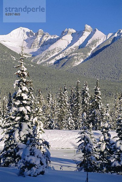 Alberta  Banff  Kanada
