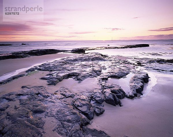 Europa  Strand  Großbritannien  über  Sonnenaufgang  England  Nordsee  Northumberland