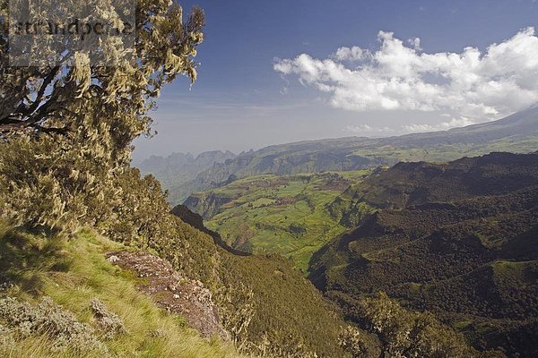 Landschaftlich schön  landschaftlich reizvoll  Berg  dramatisch  Zimmer  UNESCO-Welterbe  Afrika  Äthiopien