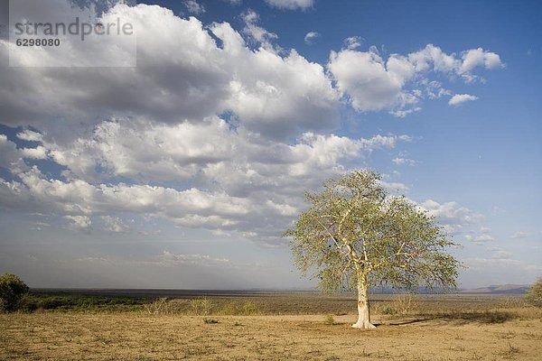 nahe  Baum  Landschaft  Fluss  Einsamkeit  Afrika