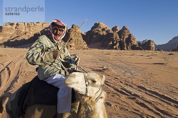 Wüste  Naher Osten  Beduine  Kamel  Wadi Rum