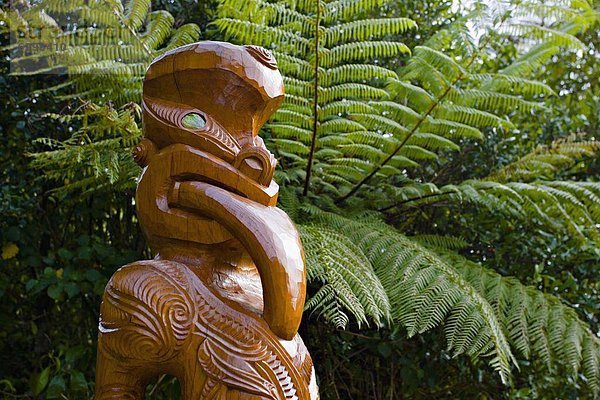 Pazifischer Ozean Pazifik Stiller Ozean Großer Ozean neuseeländische Südinsel Neuseeland Marlborough Sounds