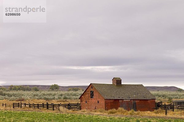 Emblem  Wyoming  Vereinigte Staaten von Amerika  Nordamerika