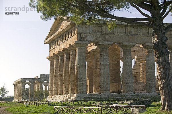 Europa  UNESCO-Welterbe  Kampanien  Italien  Paestum