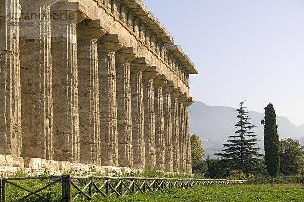 Europa  UNESCO-Welterbe  Kampanien  Italien  Paestum