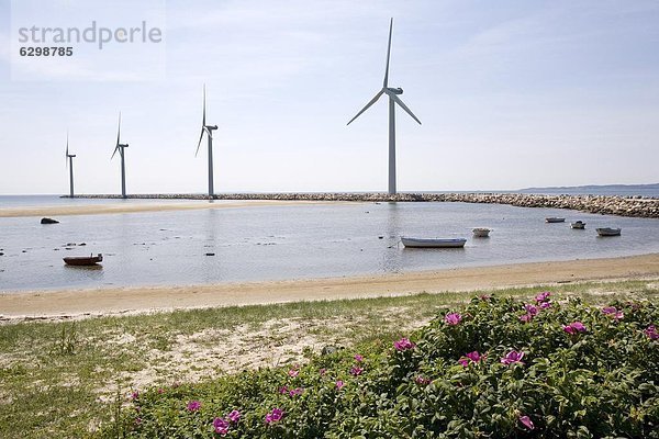 Europa Dänemark Skandinavien Windpark