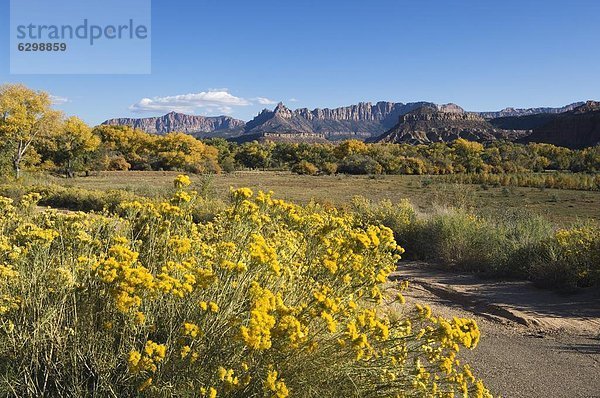 Landschaft in der Nähe von Zion Nationalpark  Utah  Vereinigte Staaten von Amerika  Nordamerika