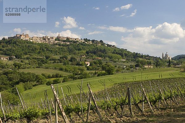 Montepulciano  Val d'Orcia  Provinz Siena  Toskana  Italien  Europa