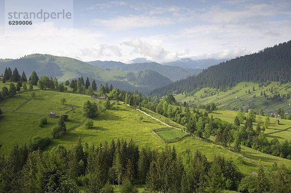 Europa  Berg  Rumänien