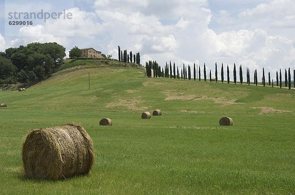 Europa Landschaft Ansicht typisch Toskana Italien