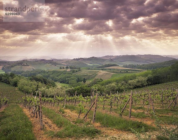 nahe  Europa  Wolke  Himmel  Weinberg  Italien  Toskana