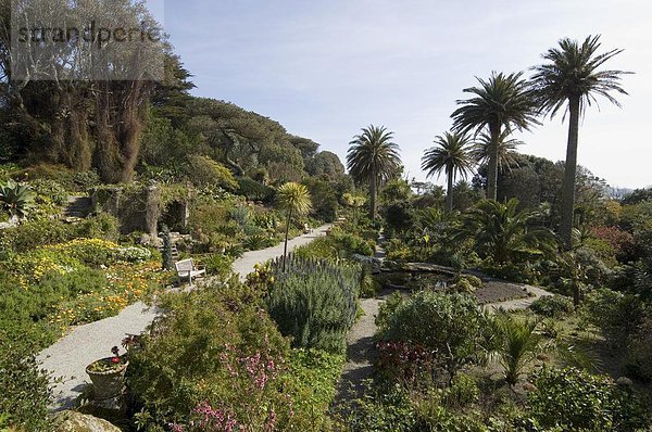 Die Abbey Gardens  Tresco  Isles of Scilly  aus Cornwall  Vereinigtes Königreich  Europa